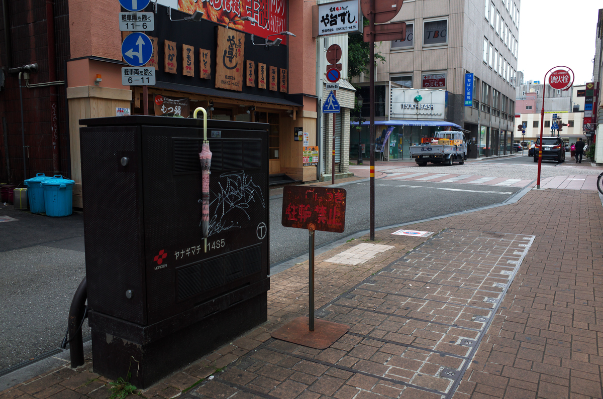 f:id:fuku-taro:20190615223310j:plain