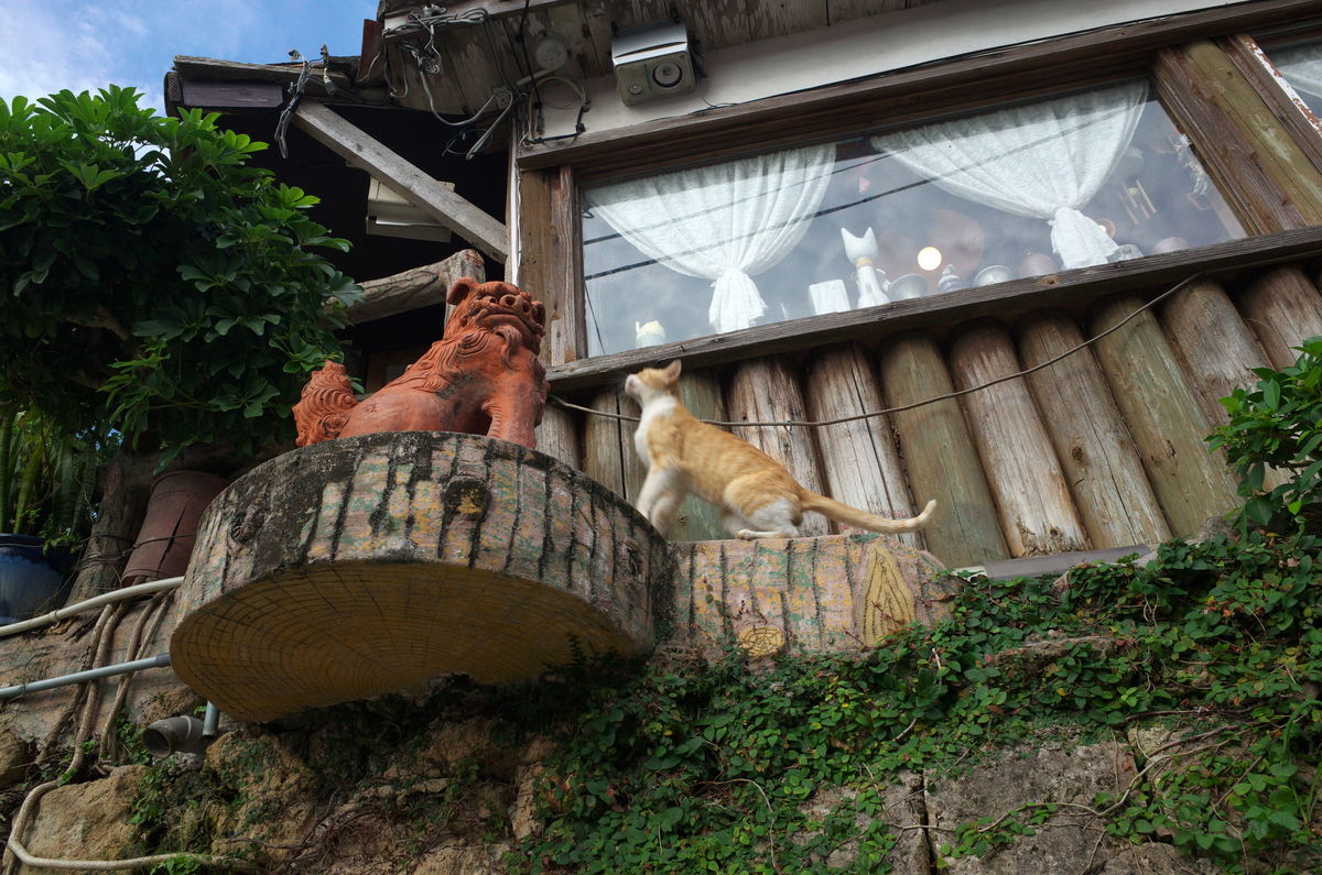 f:id:fuku-taro:20190831083931j:plain f:id:fuku-taro:20190831083931j:plain