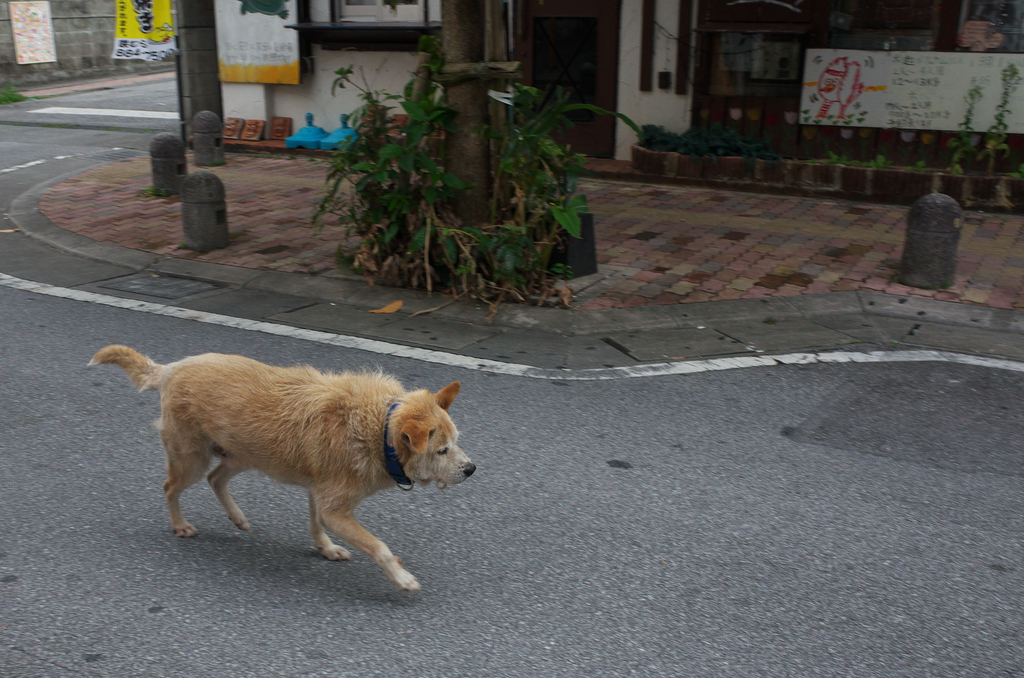 f:id:fuku-taro:20200308153439j:plain