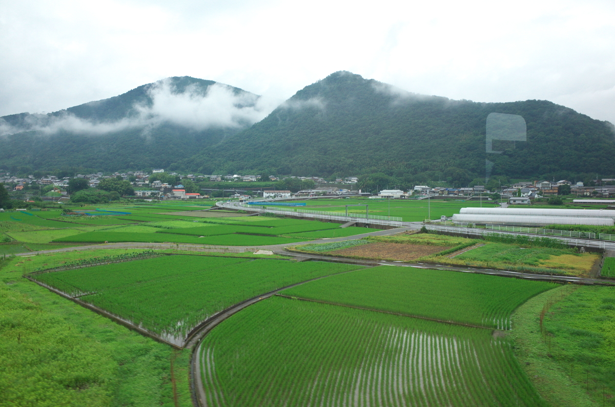 f:id:fuku-taro:20200614222016j:plain