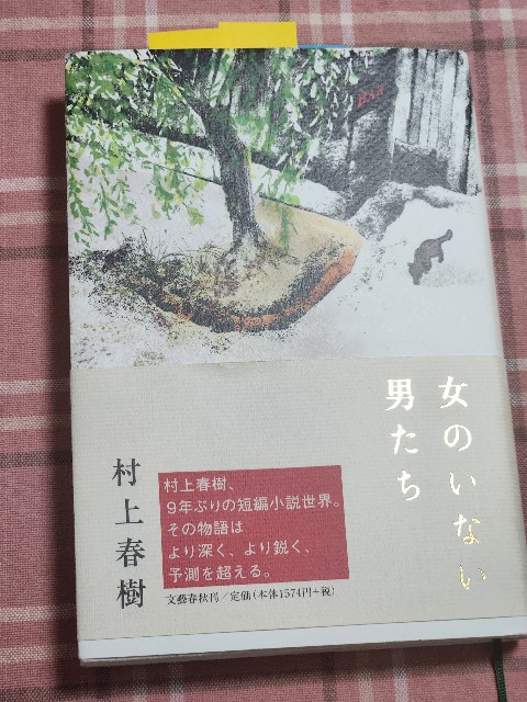 f:id:fuku-taro:20250629230259j:image