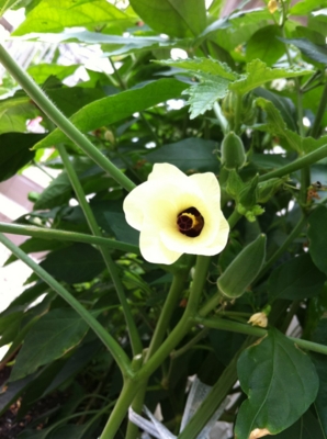 f:id:fuku240:20110704130433j:image f:id:fuku240:20110704130433j:image