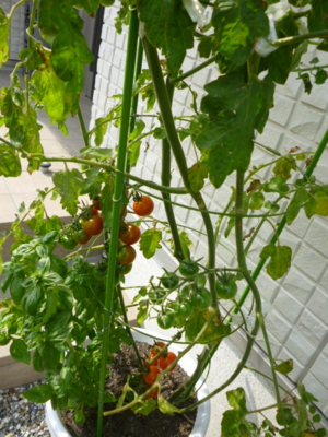 f:id:fuku240:20110704133940j:image f:id:fuku240:20110704133940j:image