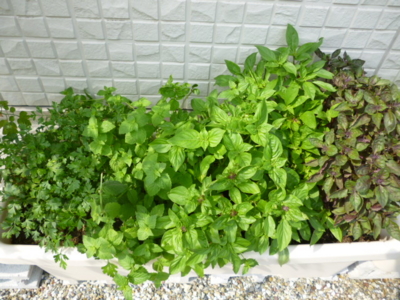 f:id:fuku240:20110704133941j:image f:id:fuku240:20110704133941j:image