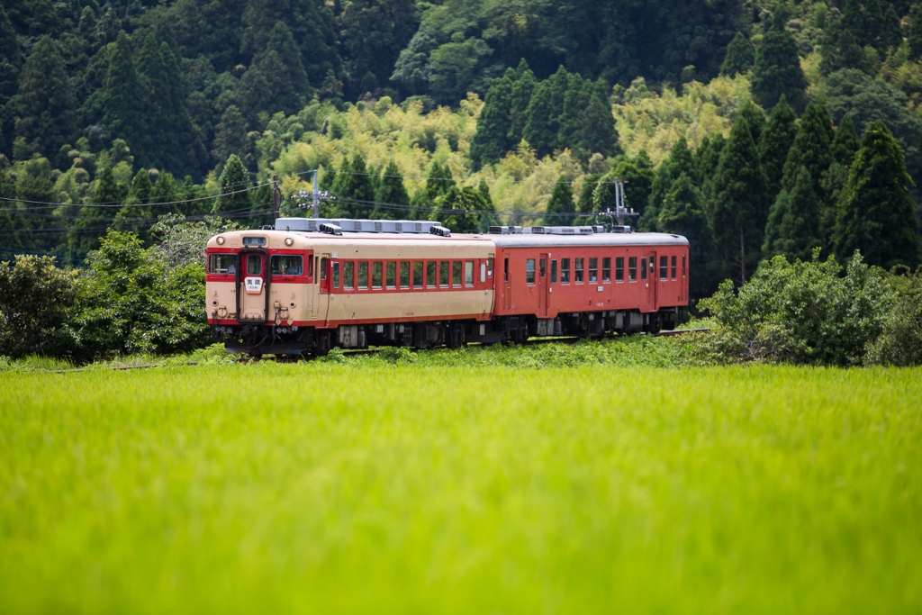 f:id:fuku5151z:20170807221212j:plain f:id:fuku5151z:20170807221212j:plain