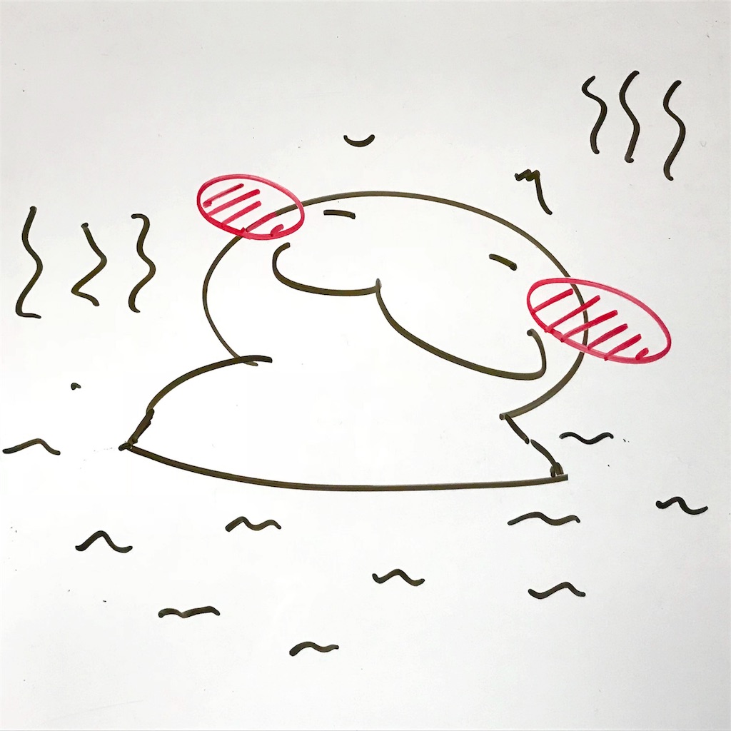 f:id:fuku_fuku8:20180405212357j:image f:id:fuku_fuku8:20180405212357j:image