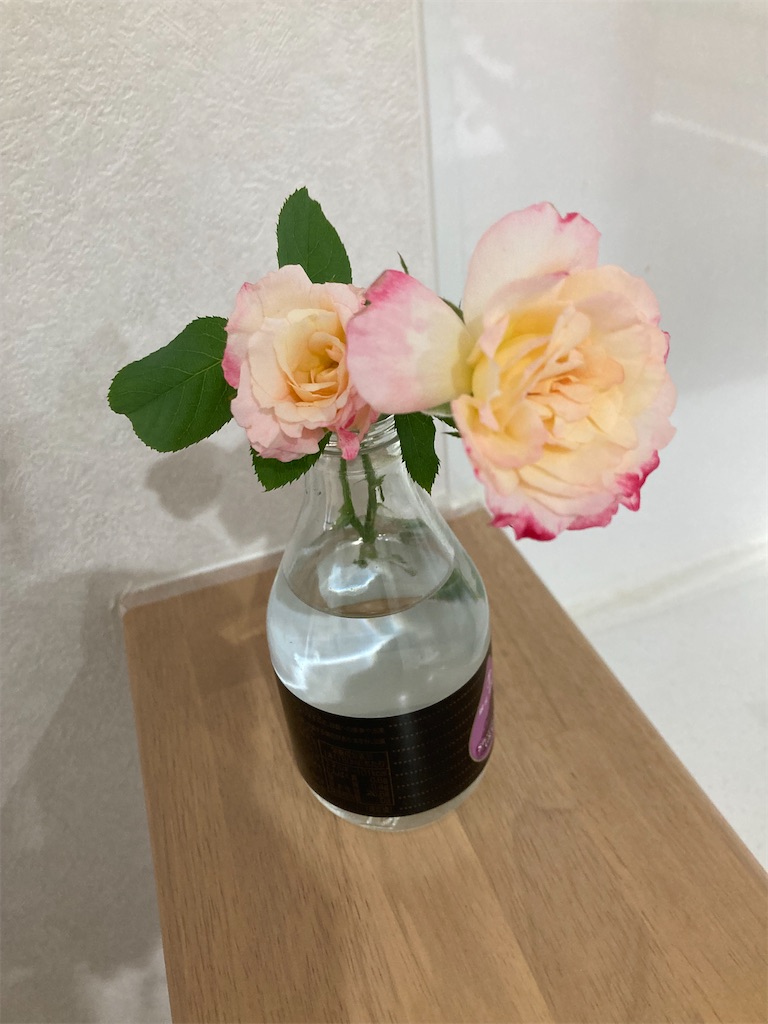 f:id:fuku_hei:20220730212536j:image f:id:fuku_hei:20220730212536j:image