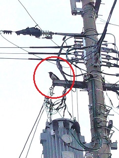 f:id:fukubuggy:20160413171906j:plain