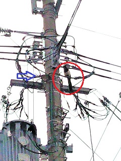 f:id:fukubuggy:20160413173050j:plain