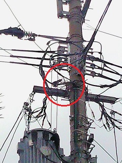 f:id:fukubuggy:20160413173145j:plain