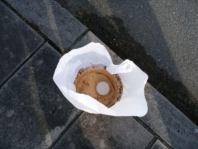 f:id:fukubuggy:20171115190320j:plain