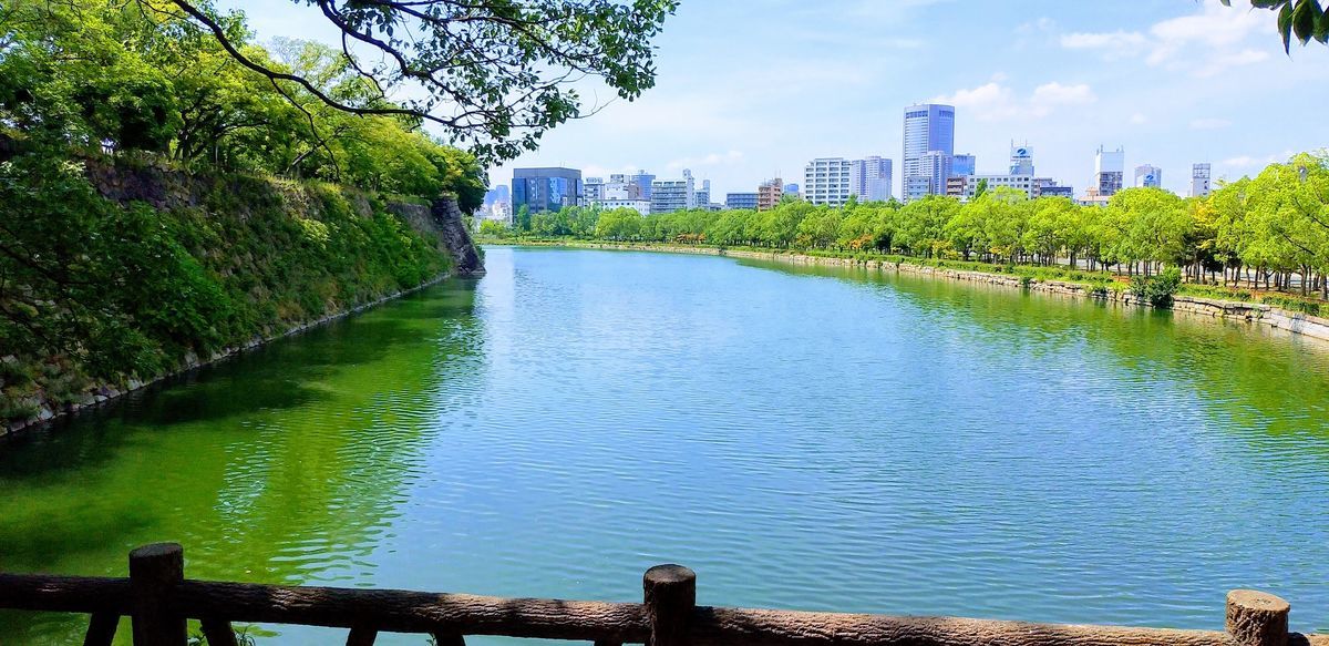 f:id:fukubuggy:20190817104905j:plain f:id:fukubuggy:20190817104905j:plain