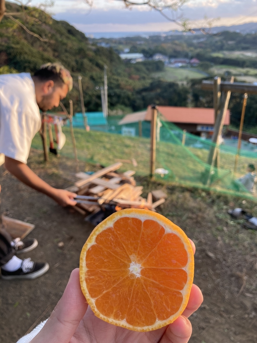 f:id:fukucamp:20210821144443j:plain