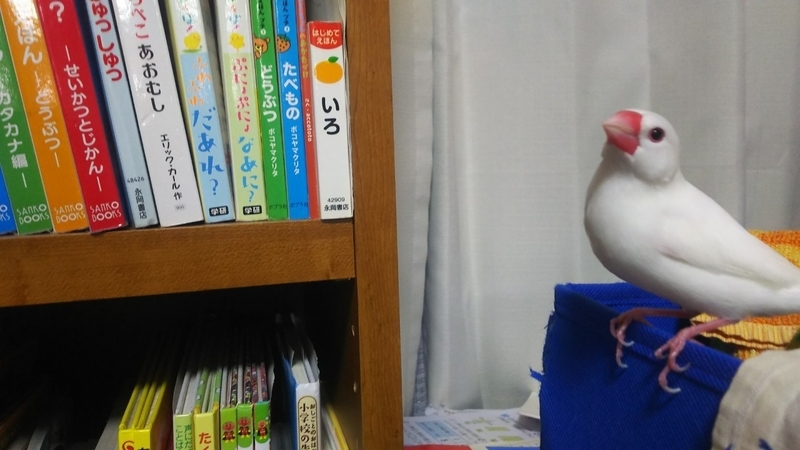 f:id:fukuchanel33:20210627195737j:plain