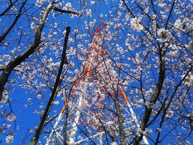 f:id:fukuchanel33:20210627200519j:plain