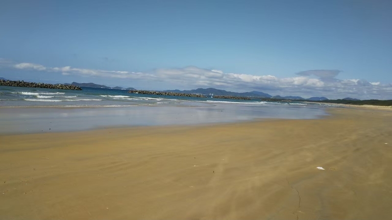 f:id:fukuchanel33:20210627201444j:plain