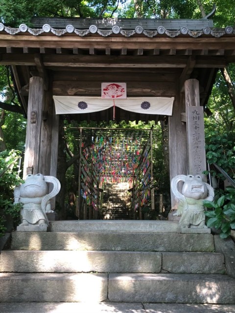 f:id:fukuchanel33:20210706183546j:image