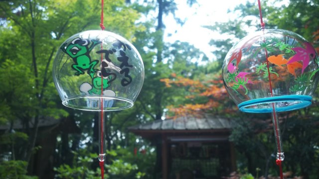 f:id:fukuchanel33:20210706183730j:image