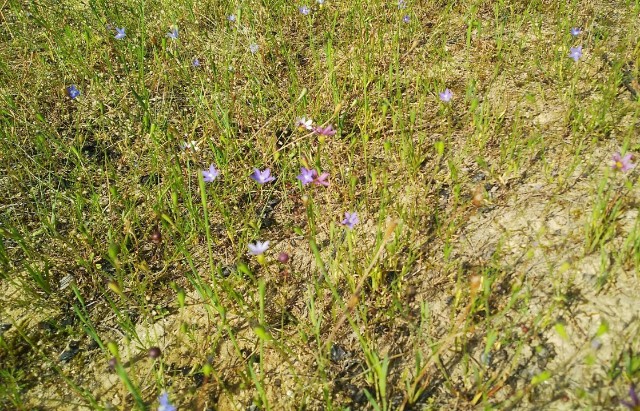 f:id:fukuchanel33:20210711020201j:image f:id:fukuchanel33:20210711020201j:image