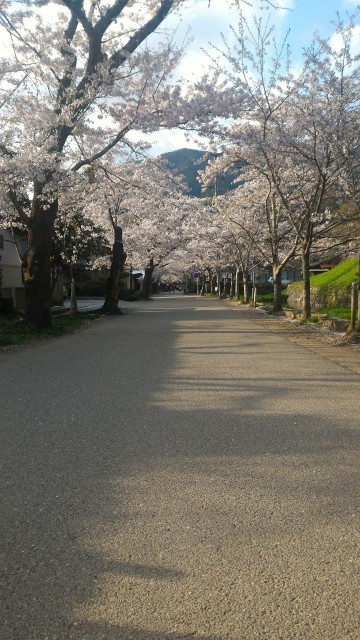 f:id:fukuchanel33:20210711023821j:image f:id:fukuchanel33:20210711023821j:image