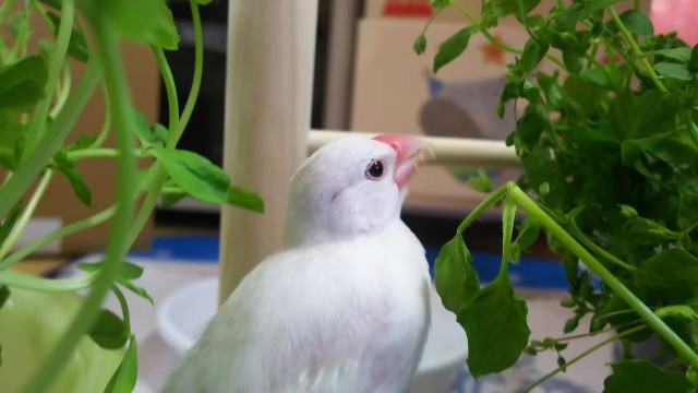 f:id:fukuchanel33:20210718201714j:image f:id:fukuchanel33:20210718201714j:image