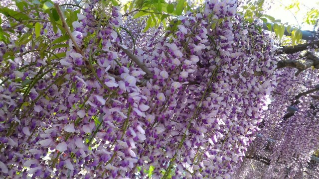 f:id:fukuchanel33:20210718202854j:image f:id:fukuchanel33:20210718202854j:image