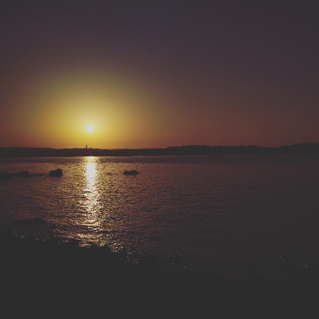 f:id:fukuchanel33:20211005015239j:image f:id:fukuchanel33:20211005015239j:image