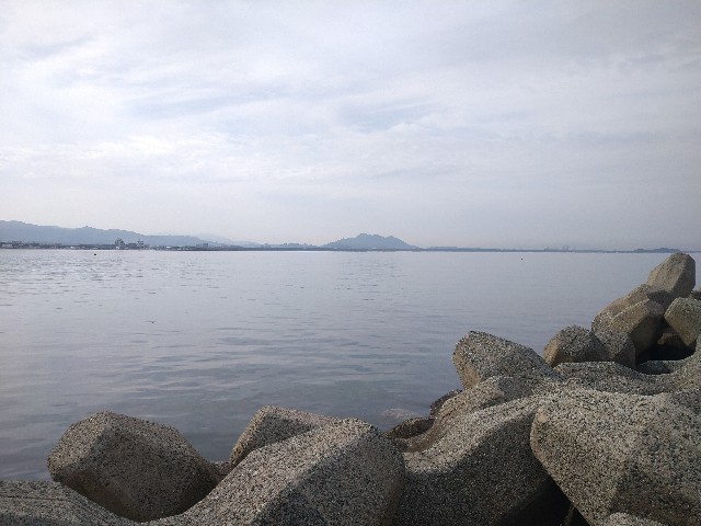 f:id:fukuchanel33:20220404133012j:image f:id:fukuchanel33:20220404133012j:image