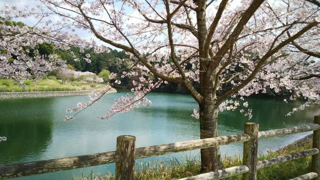 f:id:fukuchanel33:20220404133729j:image f:id:fukuchanel33:20220404133729j:image