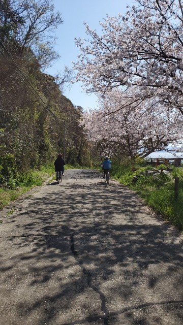 f:id:fukuchanel33:20220406211718j:image f:id:fukuchanel33:20220406211718j:image