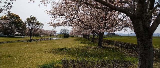 f:id:fukuchanel33:20220406211835j:image f:id:fukuchanel33:20220406211835j:image