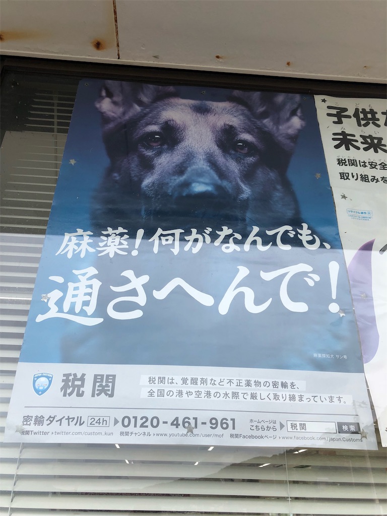 f:id:fukuchihiromi:20190418191015j:image