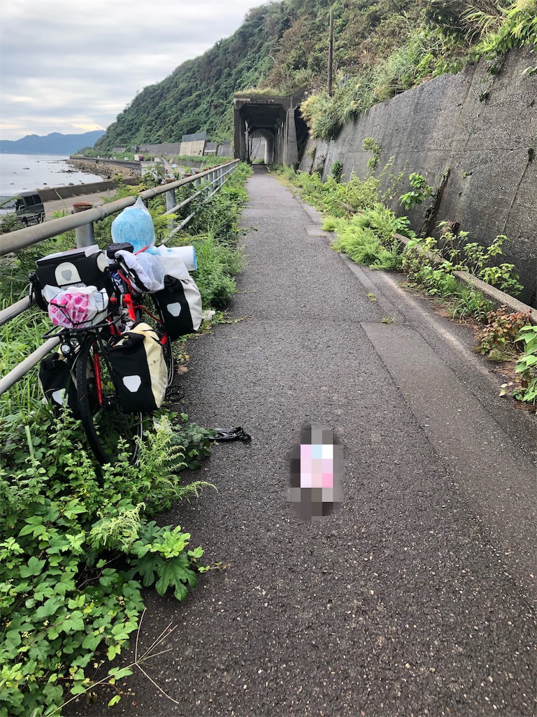 f:id:fukuchihiromi:20190419224808j:image