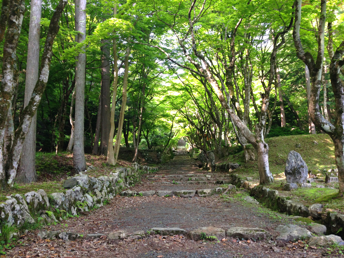 f:id:fukuda040416:20140524155857j:plain