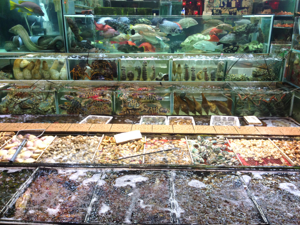 f:id:fukuda040416:20160414191047j:plain f:id:fukuda040416:20160414191047j:plain