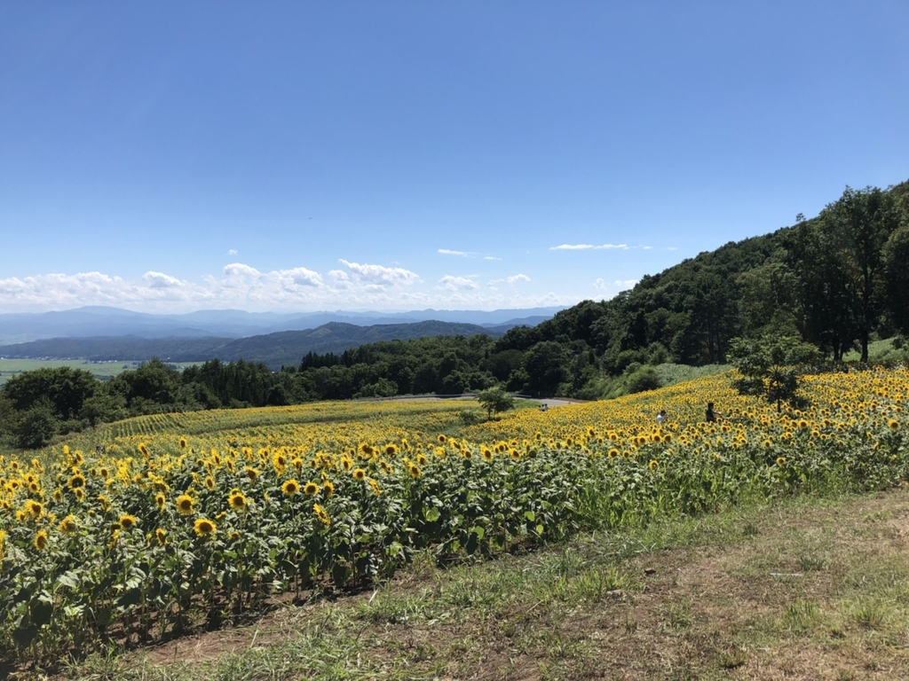 f:id:fukudagengakkyu:20180917105439j:plain