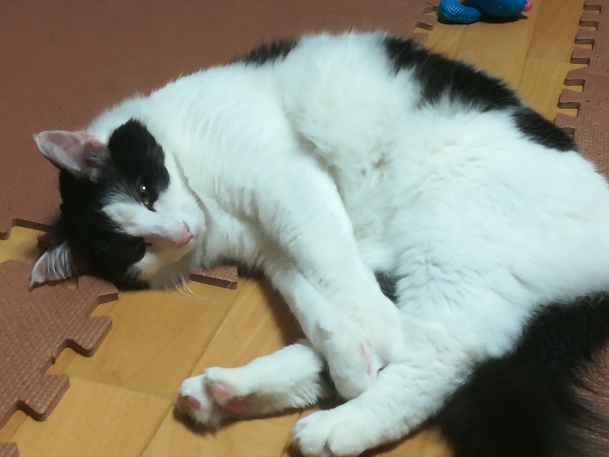 f:id:fukufukudo:20210107130453j:plain