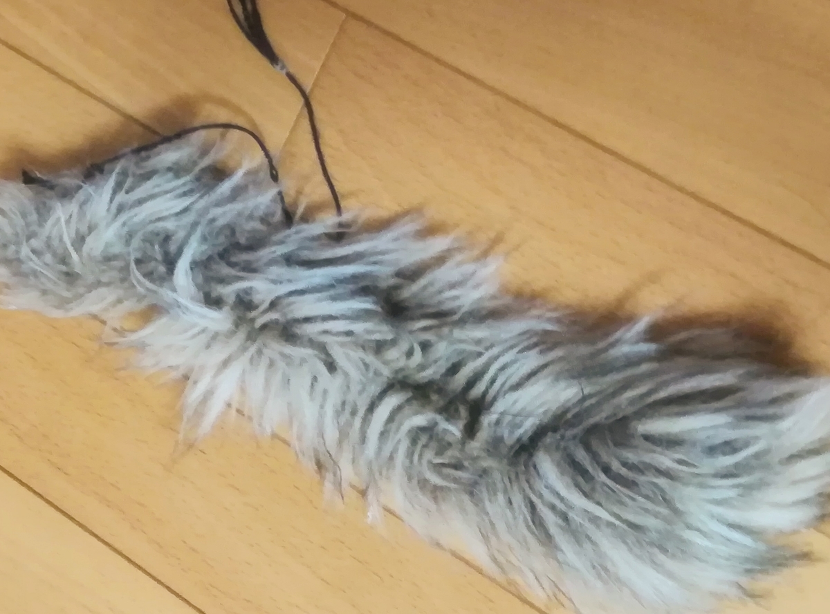 f:id:fukufukudo:20210116130330j:plain