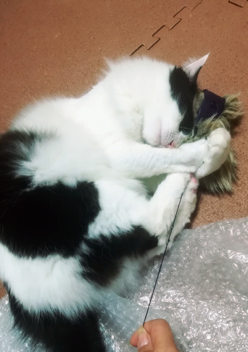 f:id:fukufukudo:20210116130353j:plain