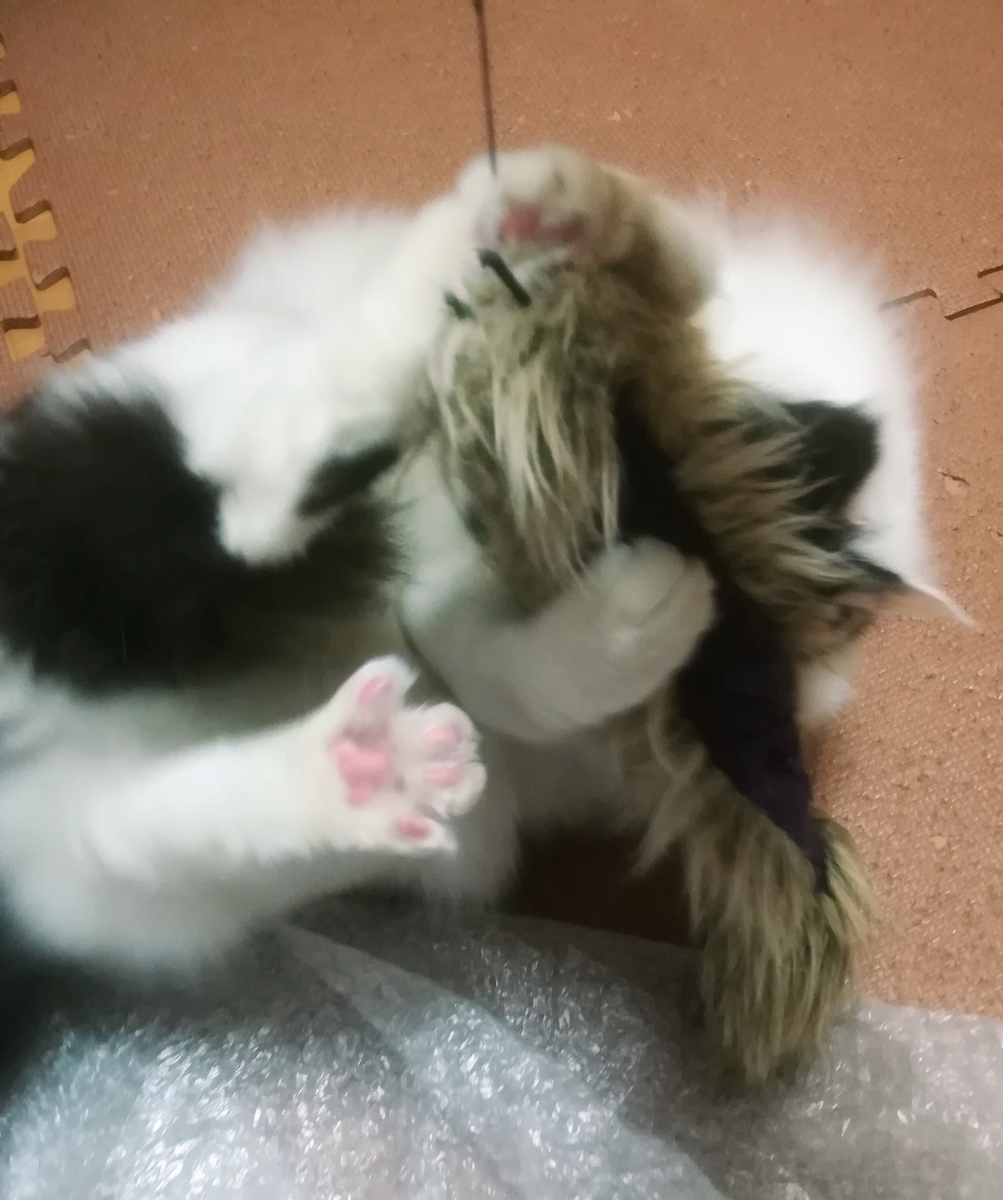 f:id:fukufukudo:20210116130657j:plain