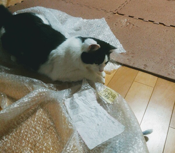 f:id:fukufukudo:20210117211114j:plain