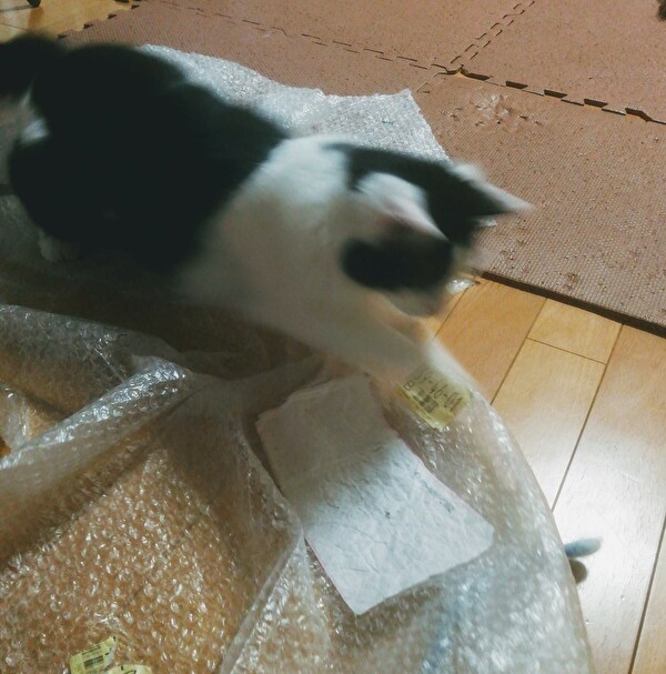 f:id:fukufukudo:20210117211136j:plain
