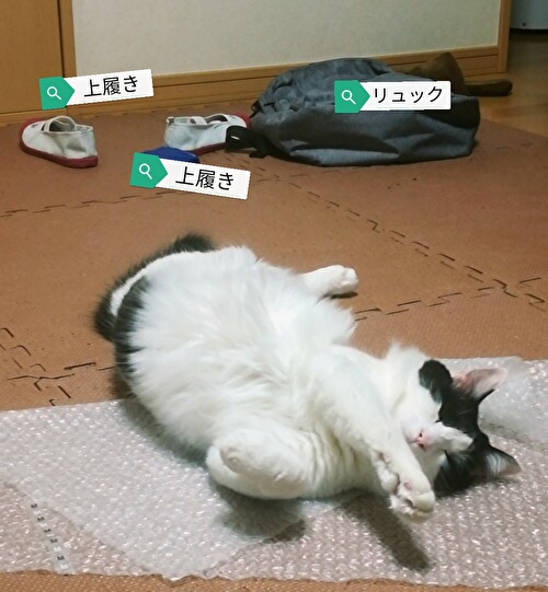 f:id:fukufukudo:20210123140623j:plain