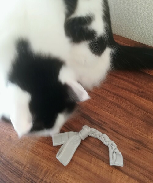 f:id:fukufukudo:20210202153741j:plain