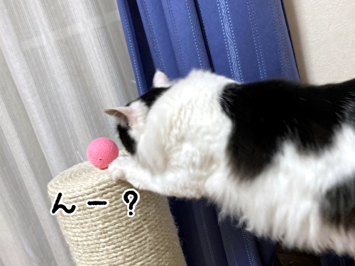 f:id:fukufukudo:20210221151538j:plain