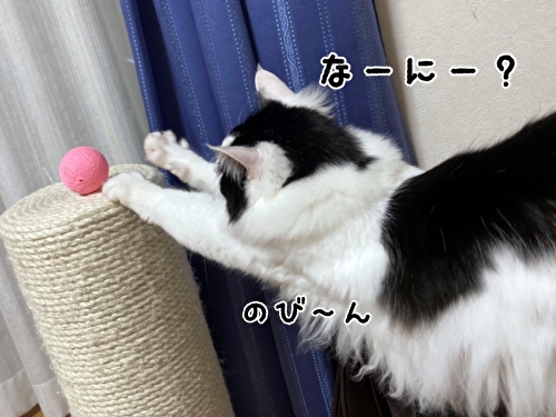 f:id:fukufukudo:20210221151552j:plain