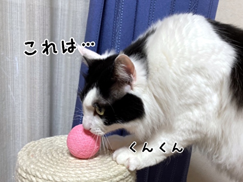 f:id:fukufukudo:20210221151608j:plain