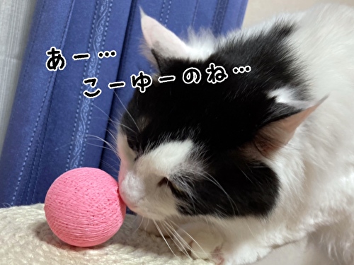 f:id:fukufukudo:20210221151620j:plain