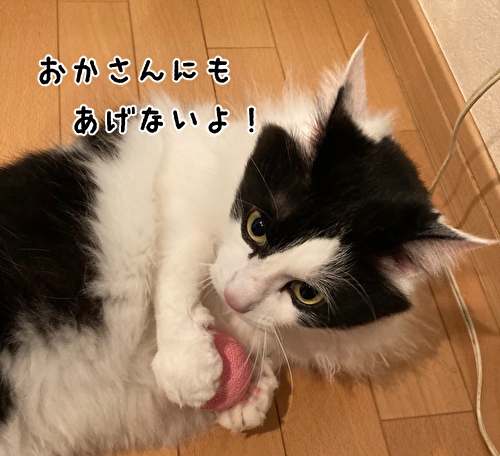 f:id:fukufukudo:20210221151748j:plain