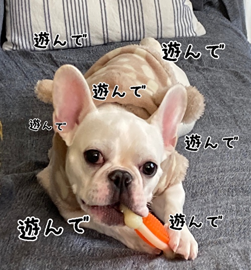 f:id:fukufukudo:20210301172646j:plain